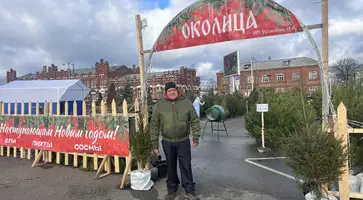 Вот уже несколько дней в городе творится елочное безумие. Горожане выбирают «свою» хвойную красавицу, которая украсит их дом  в новогодние праздники.