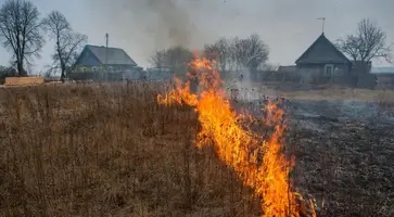 Палы сухой травы, растительности на территории Российской Федерации запрещены