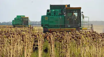 На сельхозугодиях района продолжается уборка пропашнотехнических культур