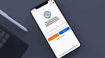 ФНС России запустила специальный сервис для выплаты субсидий малому и среднему бизнесу