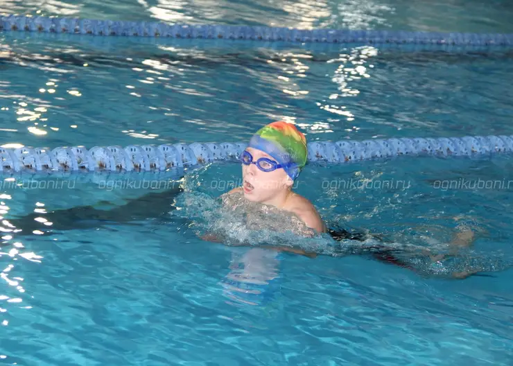 В Кропоткине в плавательном бассейне «Буревестник» успешно завершились краевые спортивные соревнования по плаванию