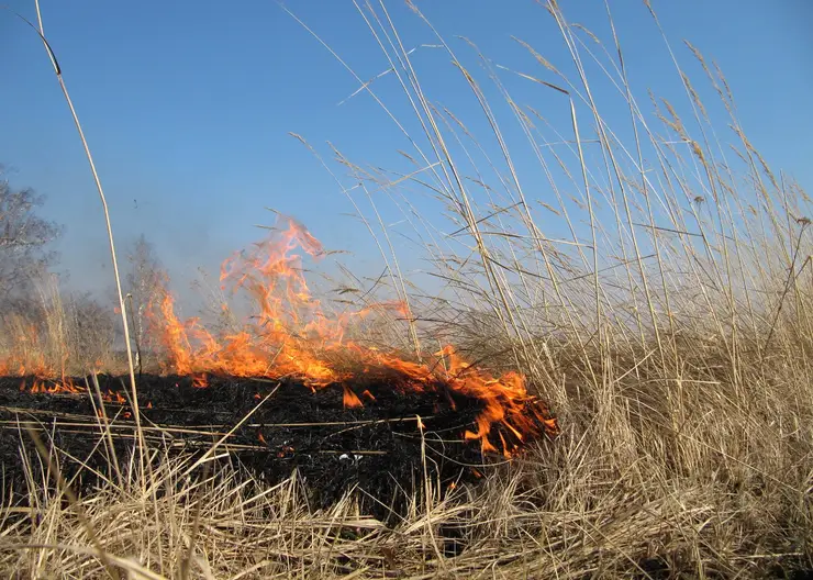 В этом году на ликвидацию возгораний сухой травы, пожнивных остатков, камыша и мусора пожарные выезжали более двухсот раз