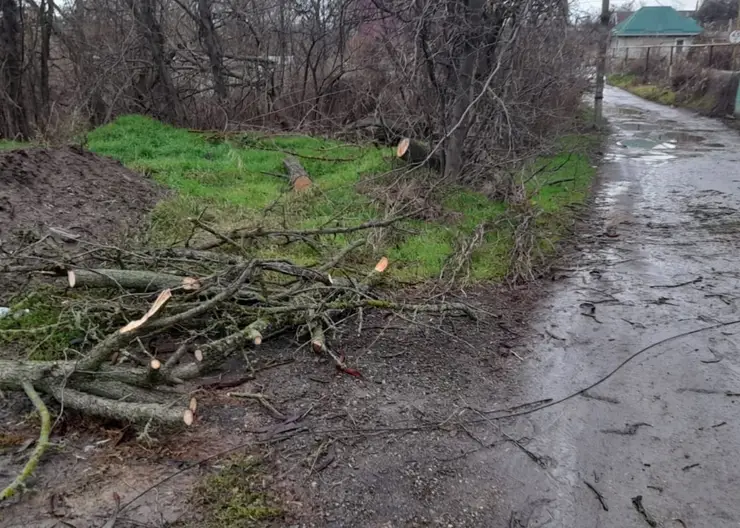 На улице Куйбышева Кропоткина очистили проезжую часть от упавшего дерева