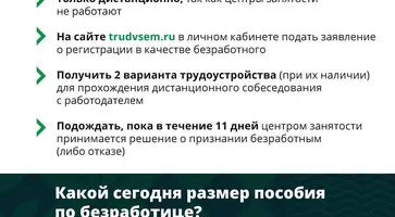 Подписано постановление Правительства РФ о пособии для безработных граждан