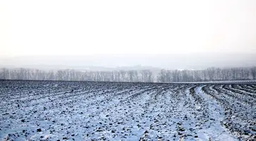 У хлеборобов наступил долгожданный отпуск