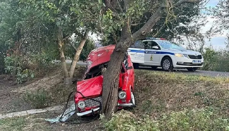 19-летняя водитель смяла ВАЗ об дерево в городе Гулькевичи
