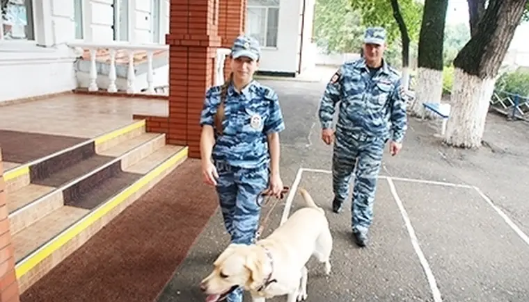 Гарантия безопасности выборов