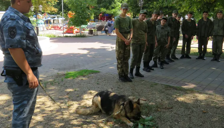 В рамках акции «Каникулы с Общественным советом» кубанские школьники встречаются с полицейскими-кинологами