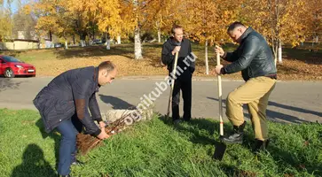 В парке 30-летия Победы Кропоткина высажено 200 яблонь