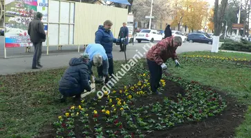 На клумбах города Кропоткина опять работают озеленители