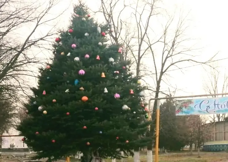 Центральную аллею парка в станице Дмитриевской украсила настоящая новогодняя елочка