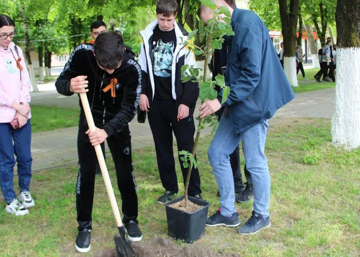 Волонтеры приняли участие в экопроекте, высадили деревья и совершили плоггинг-забег