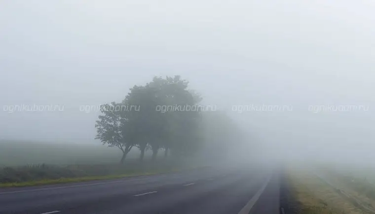 В середине недели в Краснодарском крае ожидается туман и до +17°С