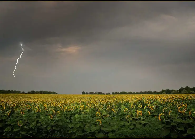 Дожди прошли не равномерно