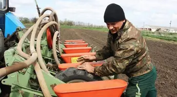 Сельхозпроизводители заканчивают уборку пропашно-технических культур