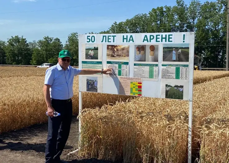 Жатва зерновых началась раньше обычного