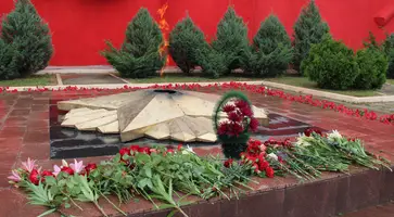 Возложение цветов к Вечному огню в День памяти и скорби