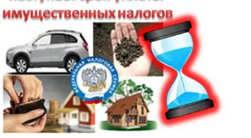 Срок уплаты налогов — 1 декабря