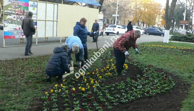 На клумбах города Кропоткина опять работают озеленители