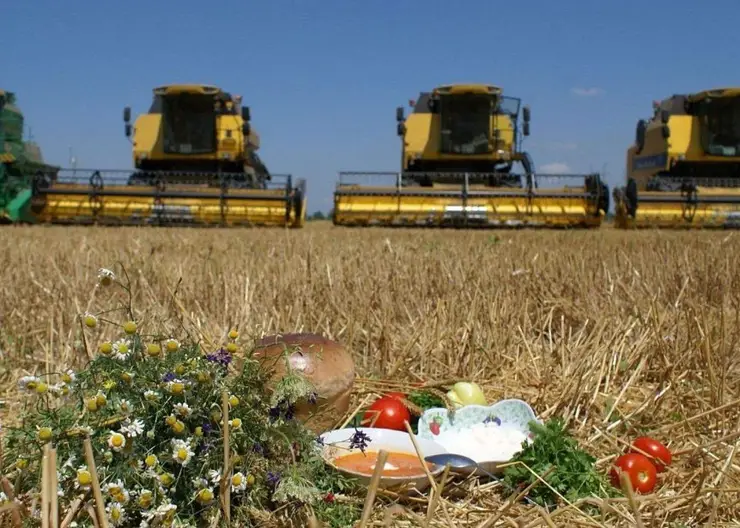 Земледелец с большим стажем Владимир Коваленко: «Сельское хозяйство, как никакая другая отрасль, стабильно»