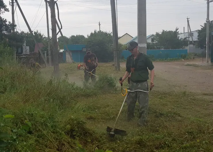 В сосновой роще Кропоткина проведен субботник