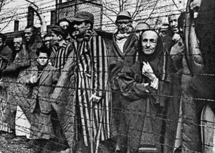 Геноцид нацистов и их пособников против советского народа в годы Великой Отечественной войны и неонацизм на Украине