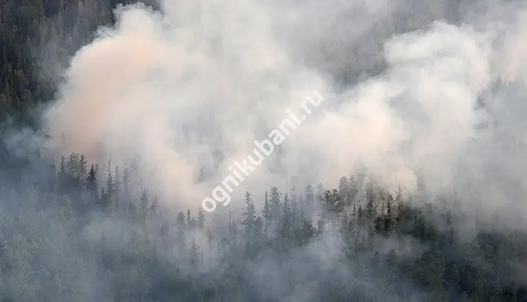 В Северском районе Краснодарского края из-за лесных пожаров введен режим ЧС