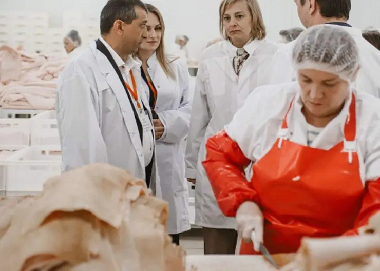 Бережливые технологии на мясоперерабатывающем предприятии «Южное» в Гулькевичах будут внедрять эксперты Регионального центра компетенций совместно с рабочей группой компании