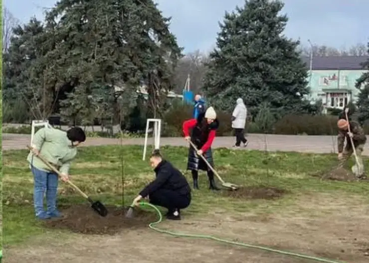 Крупнолистные липы в память об участниках Великой Отечественной войны посадили в пос. им. Максима Горького