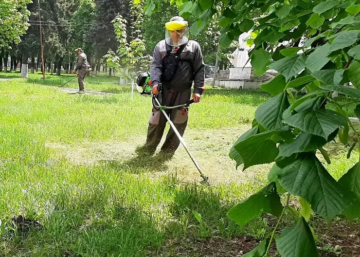 В Дмитриевском сельском поселении волонтеры оказывают помощь по хозяйству семьям участников СВО