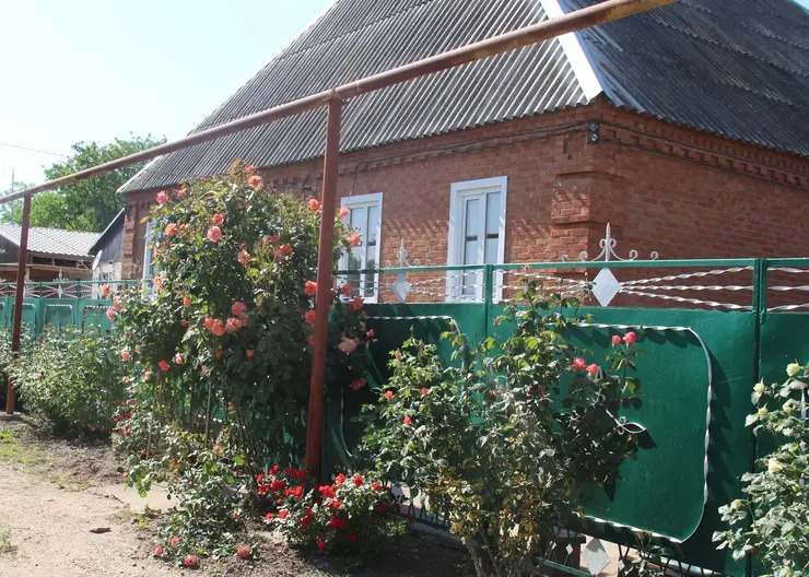 Следят ли за состоянием придомовой территории в хуторе Лосево?