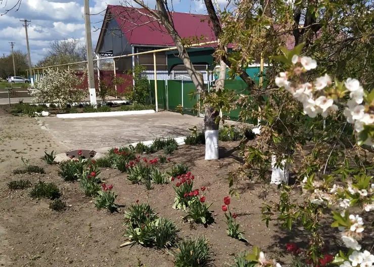 Жители хутора Лосево трудятся на клумбах у своих домов