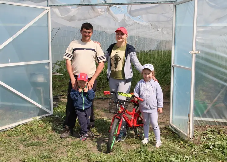 Молодая семья из Кропоткина переехала в хутор Лосево, чтобы заняться личным подсобным хозяйством