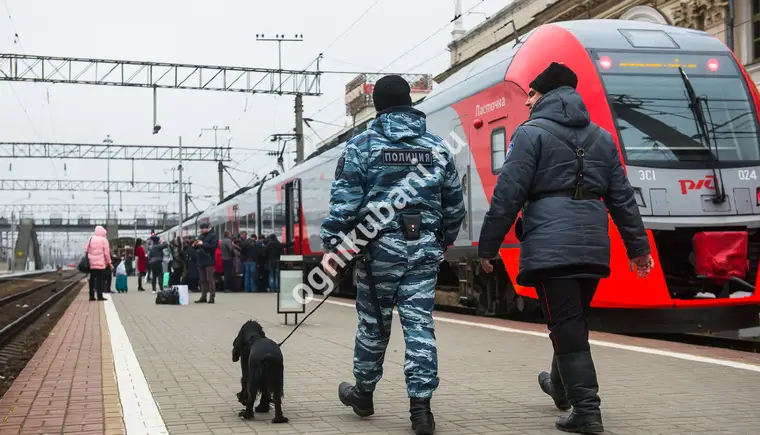 В Армавире сотрудники транспортной полиции в пассажирском поезде изъяли героин и амфетамин