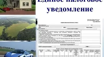 Проверь ставки, уточни льготы