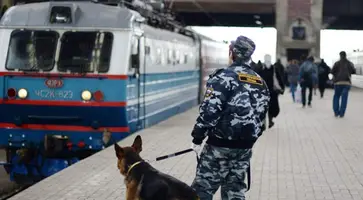 Вынесен приговор женщине, перевозившей в поезде героин