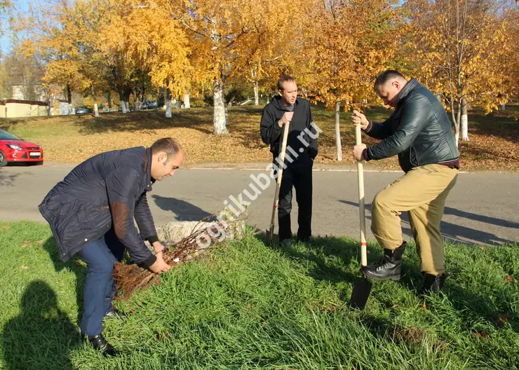 В парке 30-летия Победы Кропоткина высажено 200 яблонь
