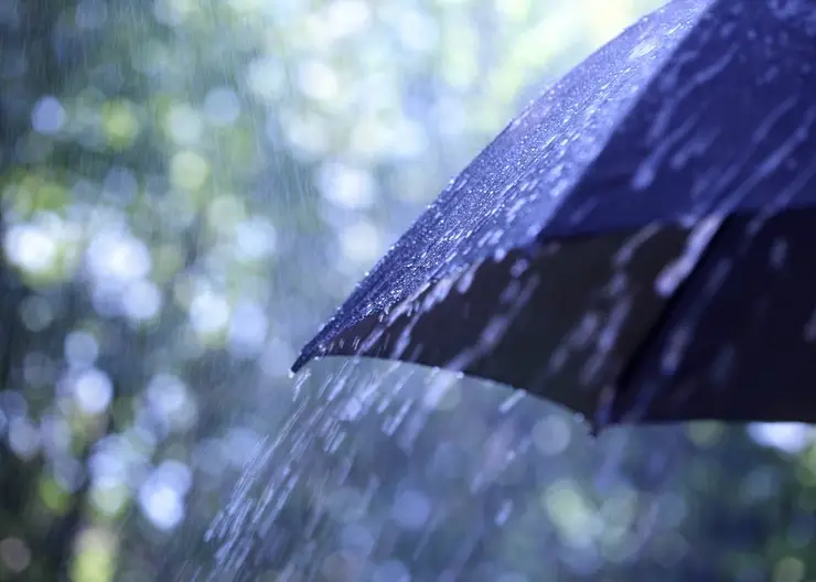 В конце недели на Кубани ожидаются ливневые дожди и грозы при шквалистом усилении ветра