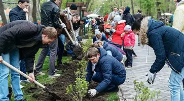 Порядка 100 тыс. жителей Кубани приняли участие во Всероссийском субботнике