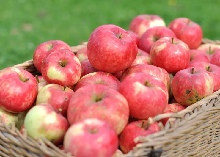 Ларьки с нарисованными аппетитными яблоками и вишней ЗАО «Виктория» стоят под замком