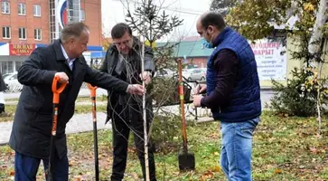 В Кропоткине пополняют зеленые зоны новыми саженцами