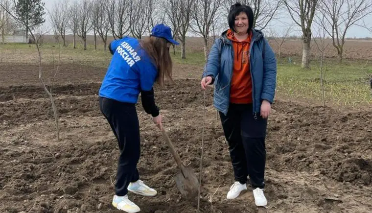 Жители Кавказской продолжают озеленять свою станицу