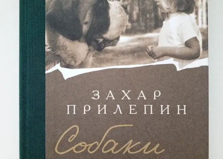 На моей книжной полке сегодня стоят произведения Захара Прилепина, Марины Степновой, Нади Алексеевой