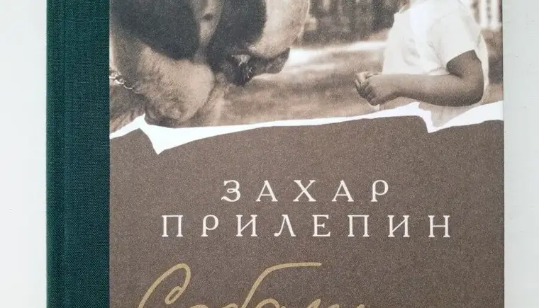 На моей книжной полке сегодня стоят произведения Захара Прилепина, Марины Степновой, Нади Алексеевой