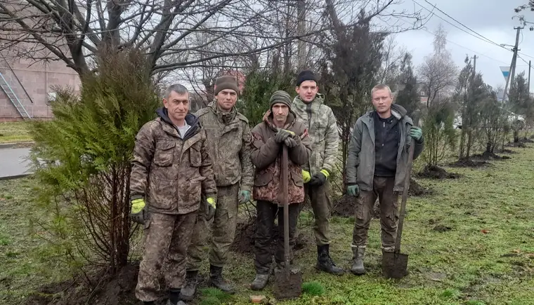 Пирамидальные дубы, каштаны и туи высадили в станице Темижбекской