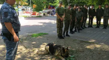 В рамках акции «Каникулы с Общественным советом» кубанские школьники встречаются с полицейскими-кинологами