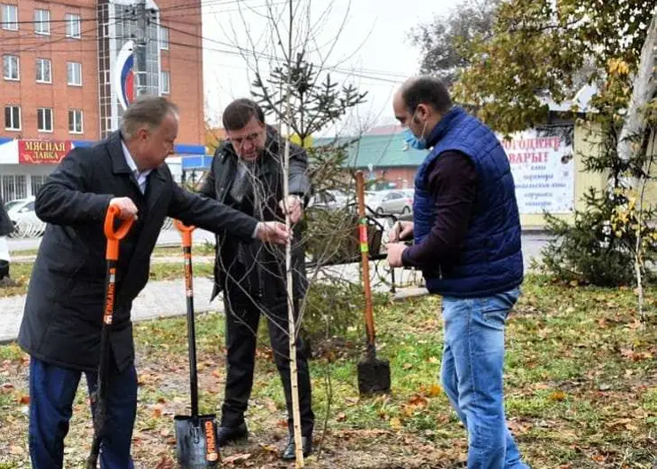 В Кропоткине пополняют зеленые зоны новыми саженцами