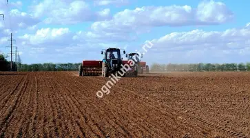 На Кубани завершена посевная кампания под урожай следующего года