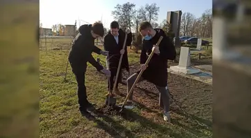 Двадцать пять саженцев липы высадили у патриотического мемориала в станице Темижбекской