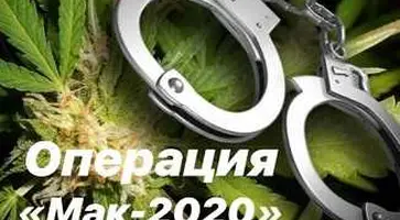 В Кавказском районе проводится 5 этап операции «Мак-2020»